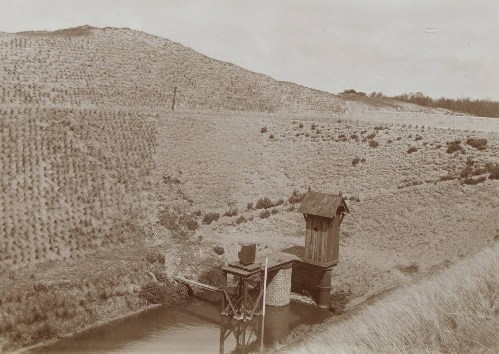 Natuurlijke zuivering in de duinen